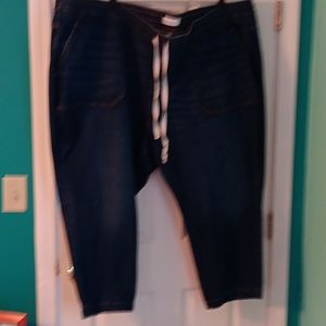 Lane Bryant Denim Joggers Sz. 38/40
